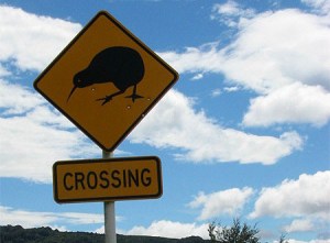 nz_kiwi