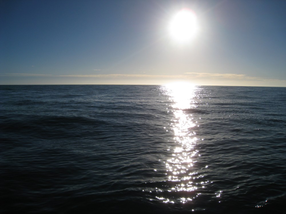 img_6397 l'océan