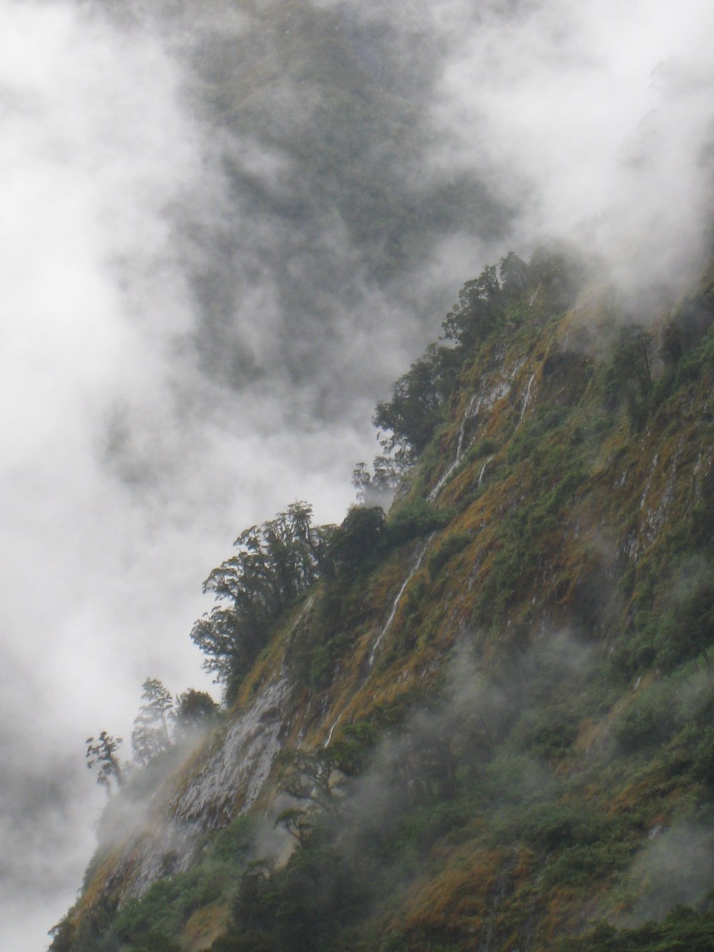 img_6859 Au pays de King Kong - Doubtful Sound