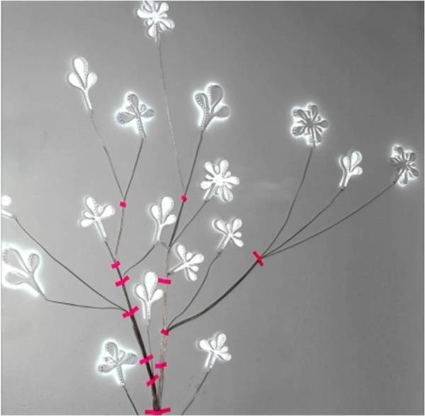 design4_fruit défendu