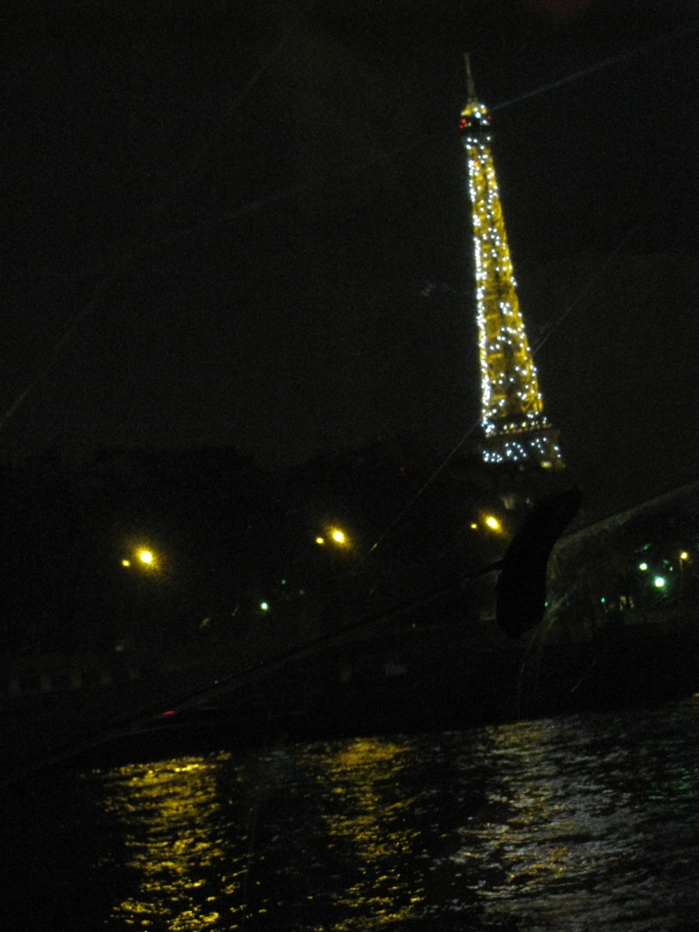 IMG_1502 Ma Tour Eiffel toute penchée... bienvenue à Pise sur Seine