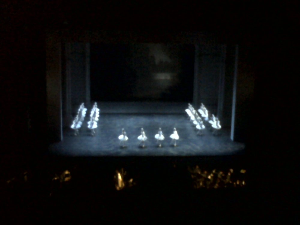 IMG00587-20101210-2221