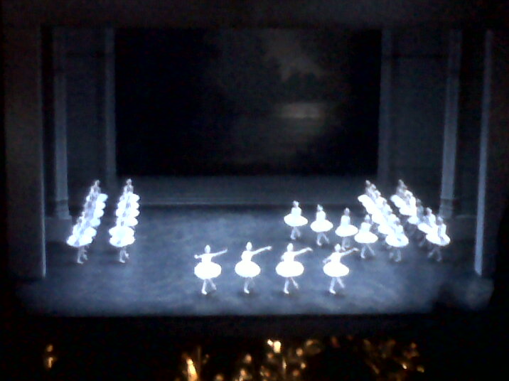 IMG00588-20101210-2221