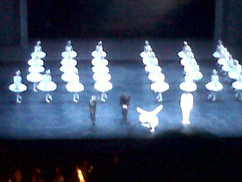 IMG00603-20101210-2224