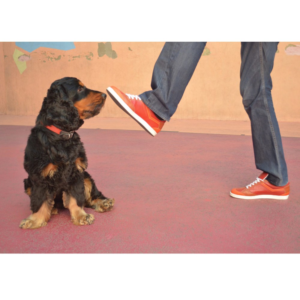 baskets-vermillon-portees-1_280