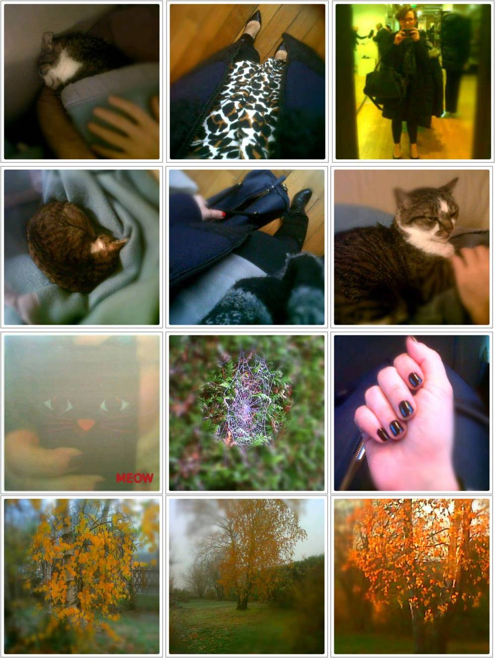 Dans mon BlackBerry 24