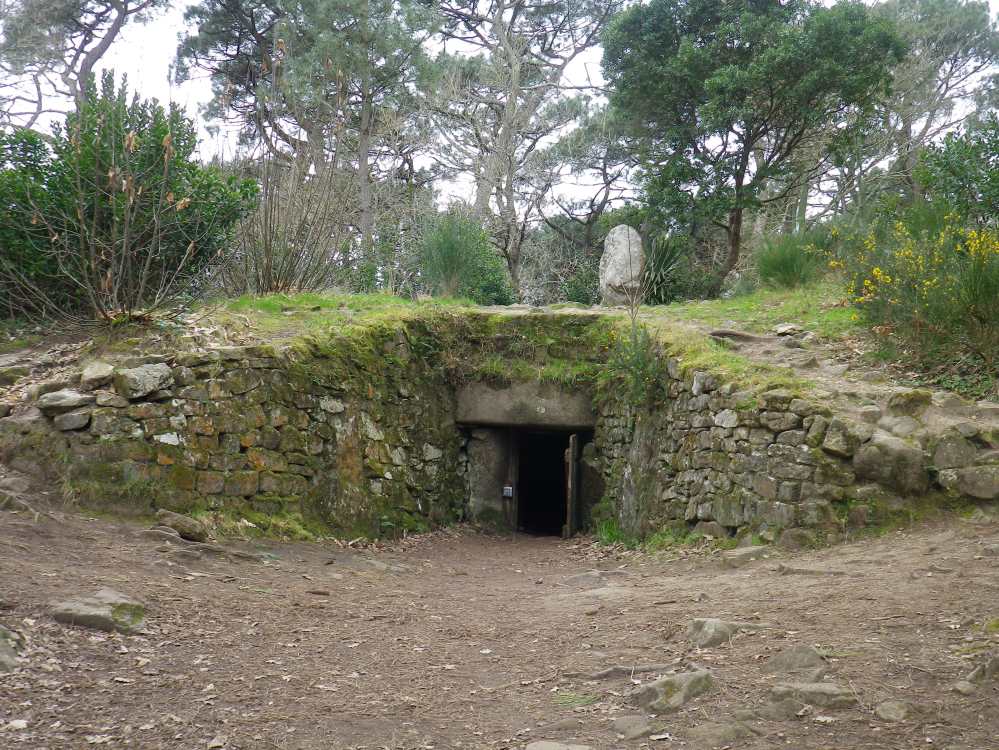 APPAREIL PHOTO ELMA 09MARS 2013 020