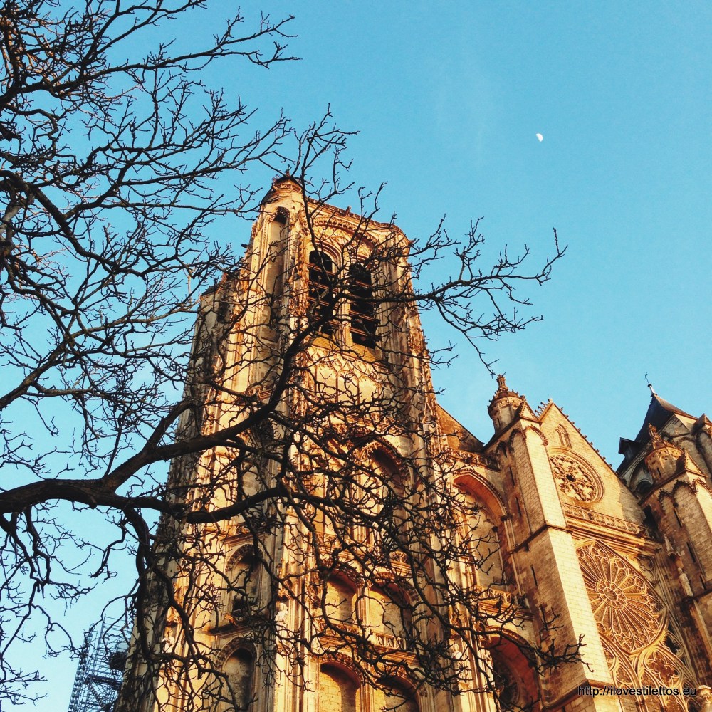 Processed with VSCOcam with lv01 preset