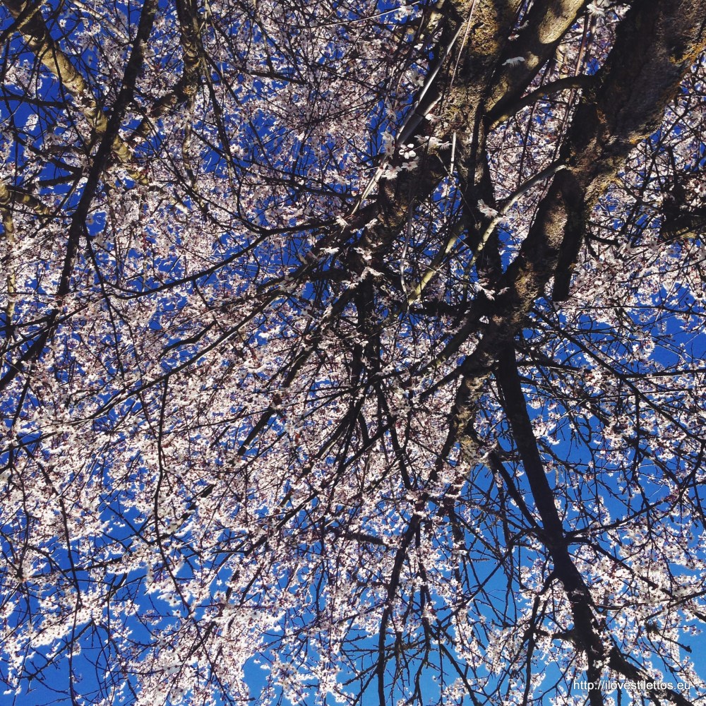 Processed with VSCOcam with lv01 preset